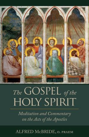 Cover of the book The Gospel of the Holy Spirit by Monica Migliorino Miller Ph.D.