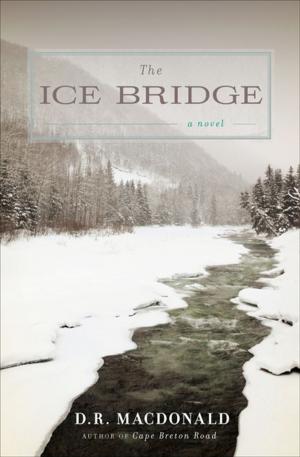 Cover of the book The Ice Bridge by Peter Coyote