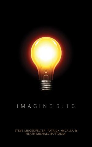 Book cover of Imagine 5:16