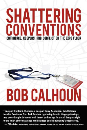 Cover of the book Shattering Conventions by LJ Stamm, RJ Evanovich
