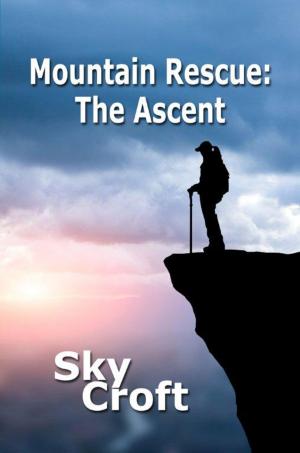Cover of the book Mountain Rescue by Brenda Adcock
