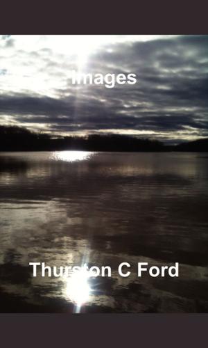 Book cover of Images