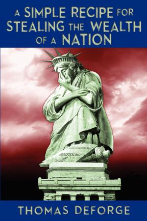 Cover of the book A Simple Recipe for Stealing the Wealth of a Nation by Steve Harmon