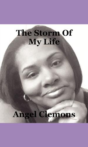 Cover of The Storm Of My Life