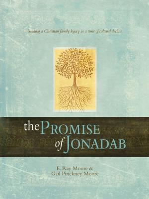 Book cover of The Promise of Jonadab