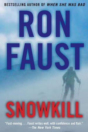 Book cover of Snowkill
