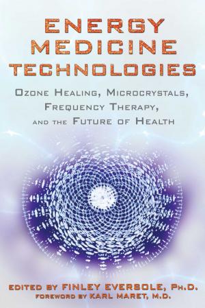 bigCover of the book Energy Medicine Technologies by 