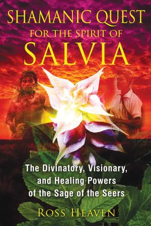 Book cover of Shamanic Quest for the Spirit of Salvia