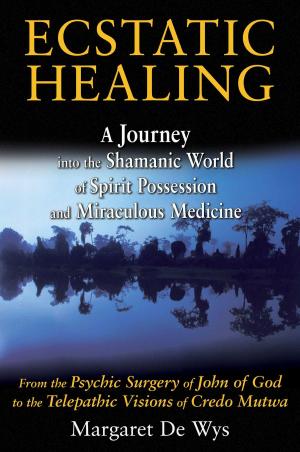 Book cover of Ecstatic Healing