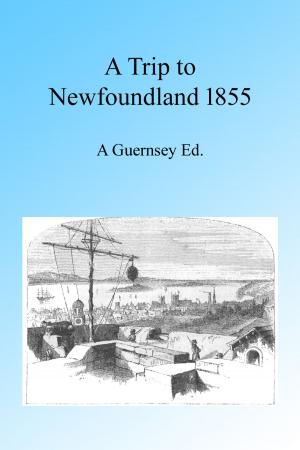 Cover of the book A Trip to Newfoundland 1855, Illustrated by Peter Grotjan