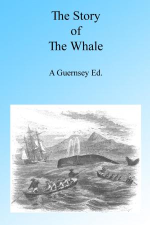 Cover of the book The Story of the Whale, Illustrated by John Heard Jr