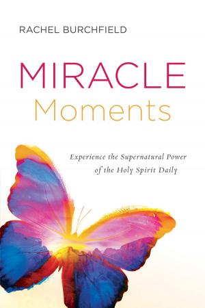Cover of the book Miracle Moments by Emelda Rusike Denenga
