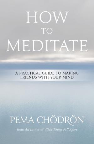 Cover of the book How to Meditate by Jason Shulman