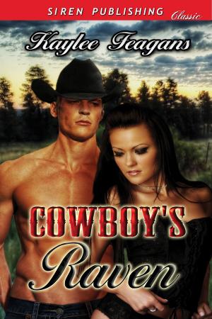Cover of the book Cowboy's Raven by Paige Cameron