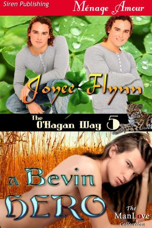 Cover of the book A Bevin Hero by Peyton Elizabeth