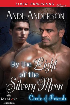 Cover of the book By the Light of the Silvery Moon by Marcy Jacks