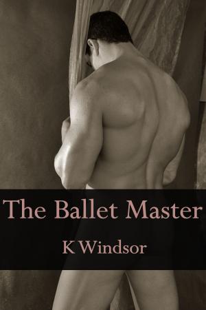 Book cover of The Ballet Master