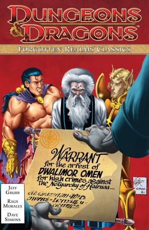 Cover of the book Dungeons & Dragons Forgotten Realms Classics Vol. 2 by Furman, Simon; Parkerhouse; Hill, James; Collins, Mike; Collins, Ridgway, John; Anderson, Jeff; Stokes, John; Kitson, Barry; Farmer, Mark; Simpson, Will; Senior, Geoff