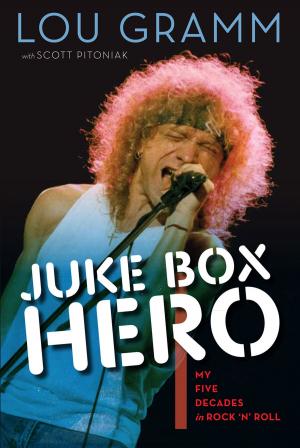 Book cover of Juke Box Hero