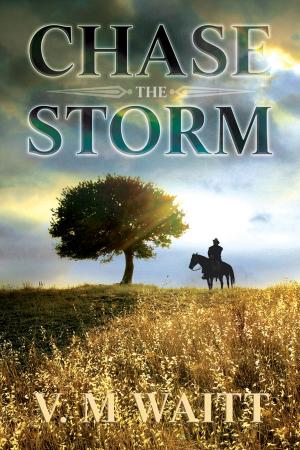 Cover of the book Chase the Storm by Allison Cassatta