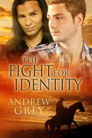 Cover of the book The Fight for Identity by Jenna Hilary Sinclair