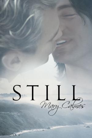 Cover of the book Still by Rebecca Cohen