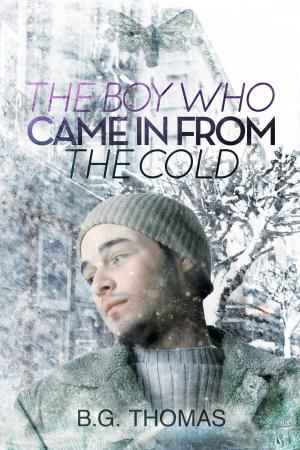 Cover of the book The Boy Who Came In From the Cold by Andrew Grey