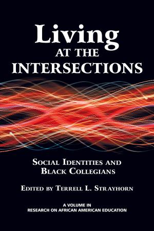 Cover of the book Living at the Intersections by 