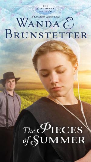 Cover of the book The Pieces of Summer by Wanda E. Brunstetter