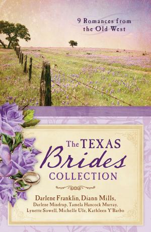 Book cover of The Texas Brides Collection