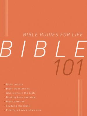 Book cover of Bible 101