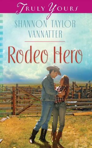 Cover of the book Rodeo Hero by Pamela L. McQuade