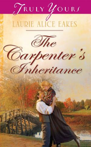 Cover of the book The Carpenter's Inheritance by Julie Rayburn