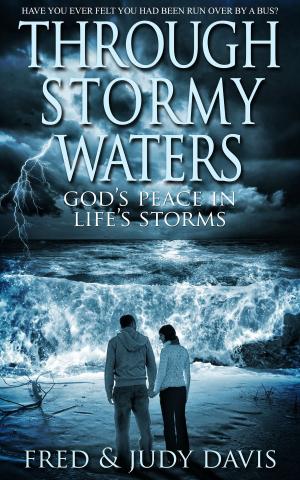Cover of the book Through Stormy Waters: God's Peace in Life's Storms by Mikey Walsh