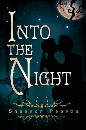 Cover of the book Into the Night by Urbano Salvati