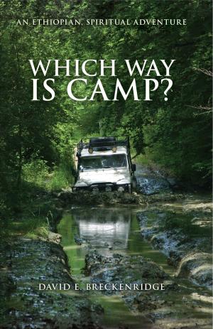 Cover of the book Which Way Is Camp? by David J. Hoch