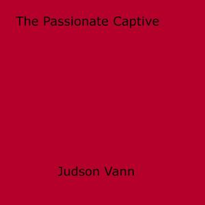 bigCover of the book The Passionate Captive by 