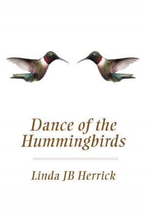 Cover of the book Dance of the Hummingbirds by David C Deitz, Sarah G. Moody