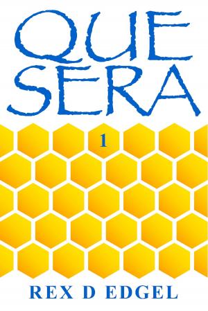Cover of the book Que Sera by Devin Blue
