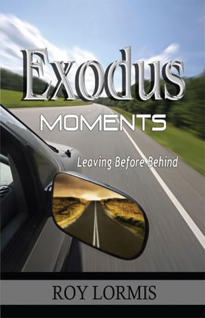 Cover of the book Exodus Moments by Anna Bardin