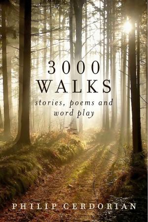 bigCover of the book 3000 Walks by 