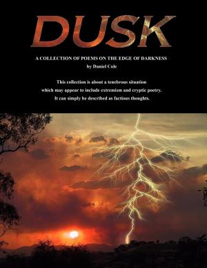 Cover of the book Dusk by Heidi Rose Robbins