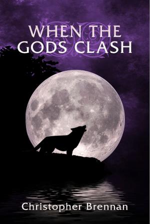 Cover of the book When The Gods Clash by Linda Adnil-Vranken