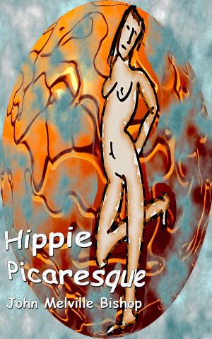 Cover of the book Hippie Picaresque by Robert E. Keller
