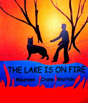 Cover of the book The Lake Is On Fire by Andy Solomon