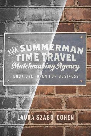 Cover of the book The Summerman Time Travel Matchmaking Agency by Richard E. Evans, Burton G. Malkiel