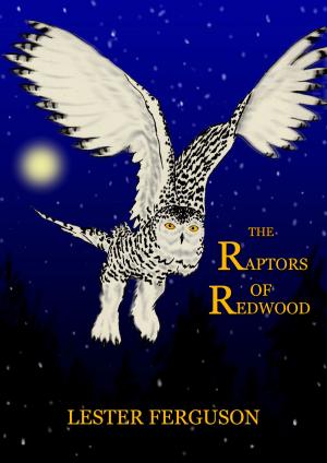 Book cover of The Raptors of Redwood