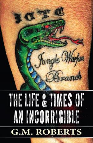 bigCover of the book The Life & Times of an Incorrigible by 