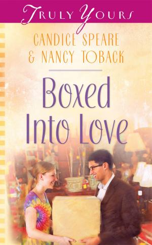 Cover of the book Boxed into Love by Janet Ramsdell Rockey