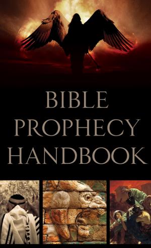 Cover of the book Bible Prophecy Handbook by Rita Gerlach, Terri J. Haynes, Noelle Marchand, Vickie McDonough, Darlene Panzera, Jenness Walker, Renee Yancy